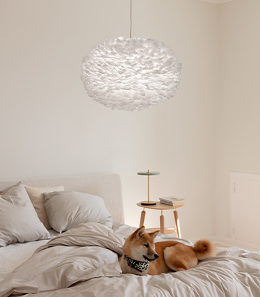 Fluffy pendant lamp creates a warm, relaxed atmosphere in a modern bedroom, while a dog rests on the bed.